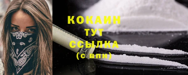 твердый Михайловск