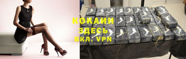твердый Михайловск