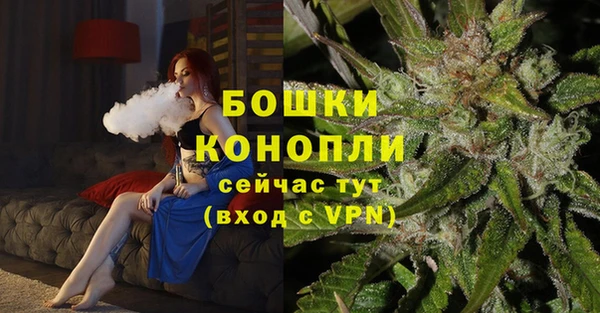 твердый Михайловск