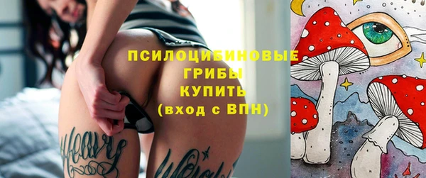 твердый Михайловск