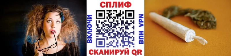 Каннабис сатива  mega   Сосенский 